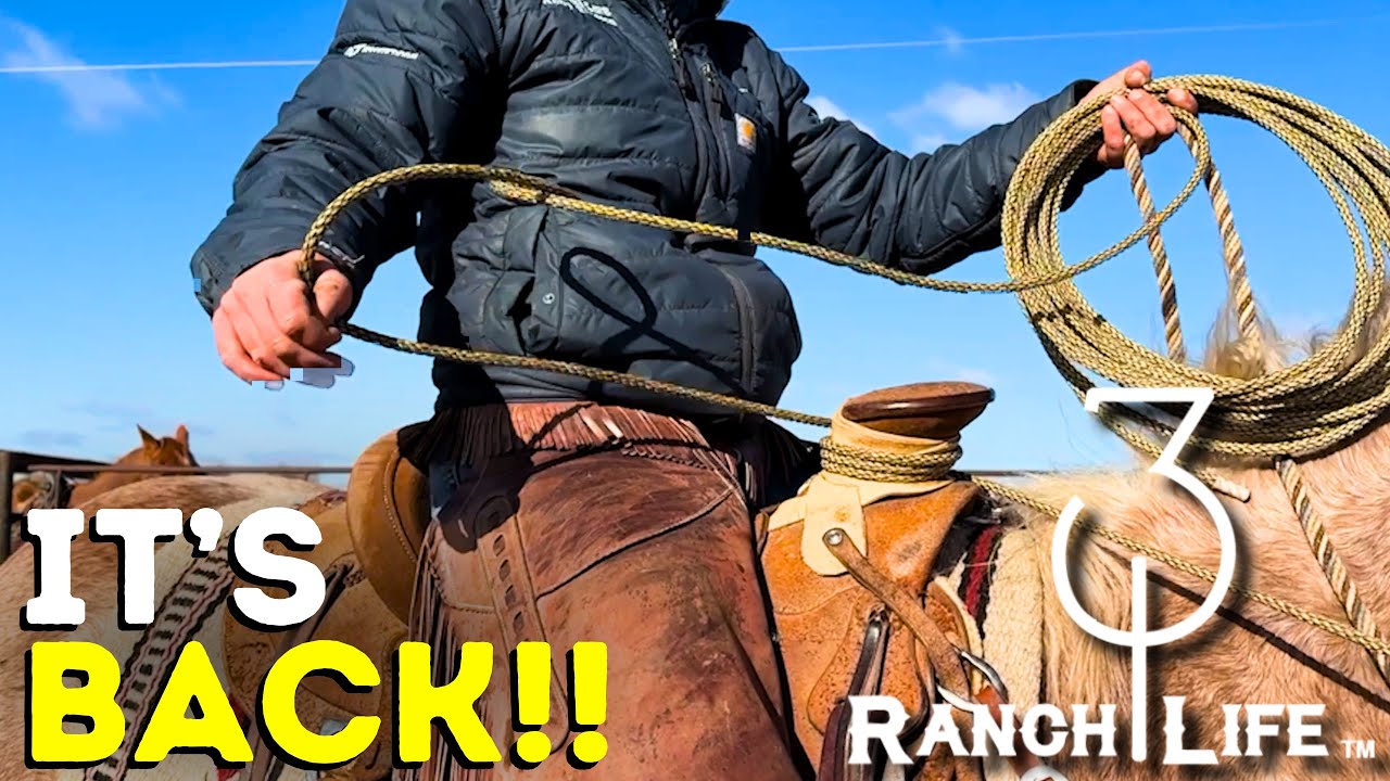 New 3:10 Ranch Ropes, Your favorite poly is back!