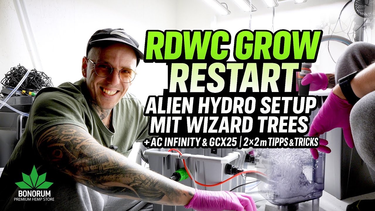 RDWC Restart 🌱 Alien Hydro System mit Wizard Trees, AC Infinity |Greenception GCX25 | Tipps & Tricks