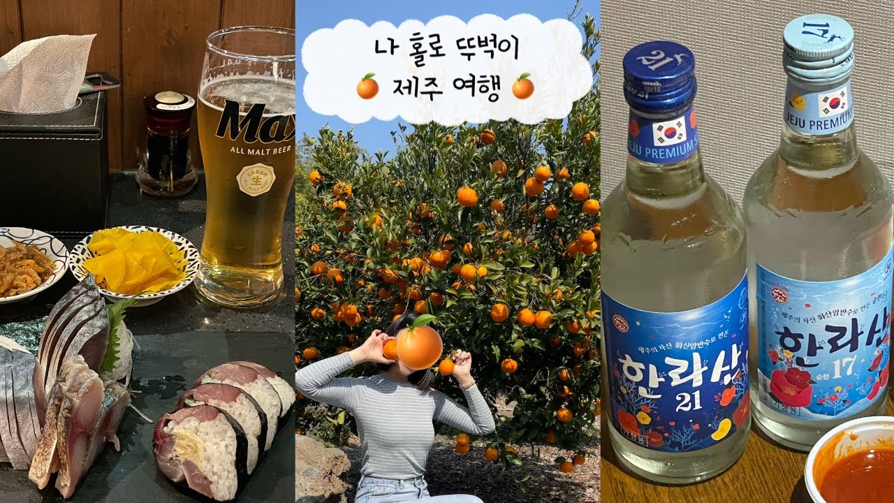 여행 Vlog) 걷기 좋아하는 뚜벅이의 제주여행 🍊 | 🐟고등어회•딱새우회•한라산 혼술 만렙🦐 | 제주시에서 서귀포시 🚎 | 귤나무•정방폭포•올레시장 | 반신욕 좋아 🛁