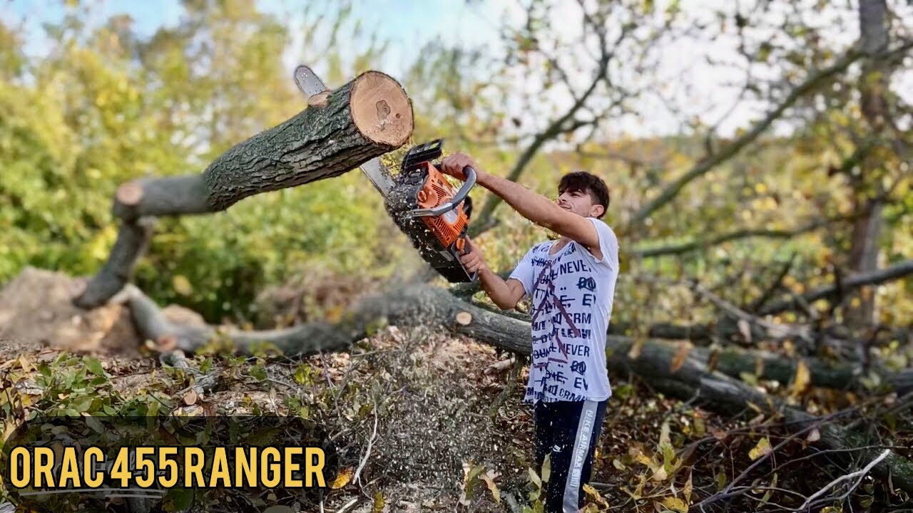 Stihl Husqvarna Değil Ama İyi Motorlu Testere Orac 445 Ranger İle Odun Kesimi