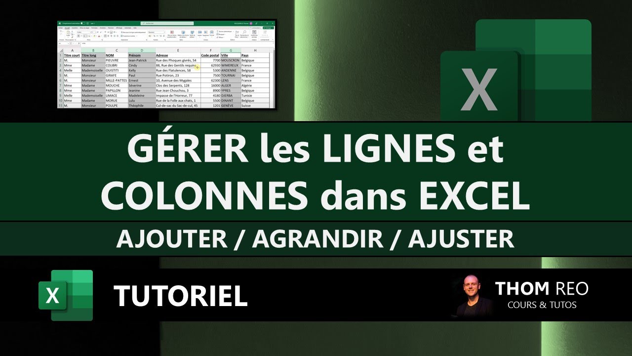 GÉRER les LIGNES et COLONNES dans EXCEL: agrandir, ajuster, ajouter, effacer, uniformiser (Tuto)