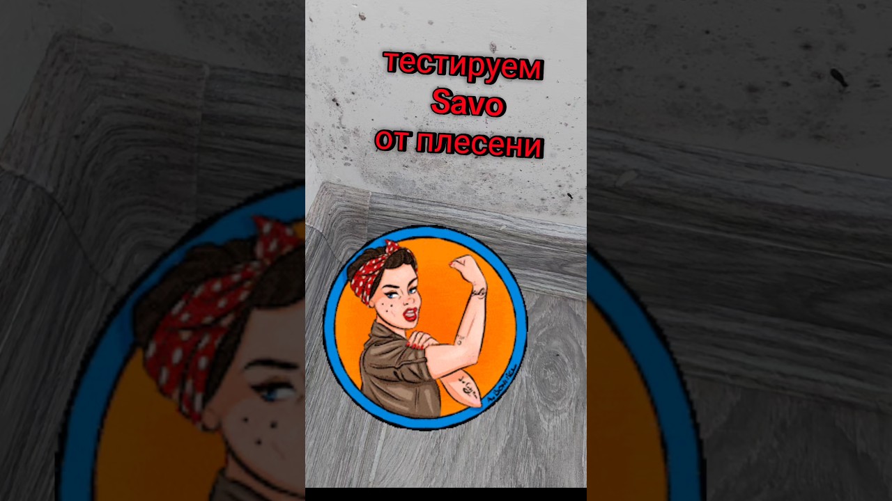 как избавиться от плесени в квартире #savo #рекомендации #плесень #Pleśń #лайфхак #tiktok #fyp