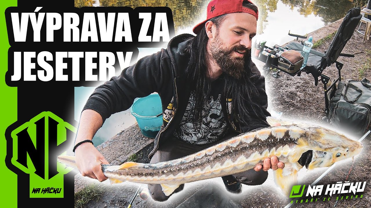VÝPRAVA ZA JESETERY / PAVEL JE ZPĚT Z DOVOLENÉ / NEDAMOV / NA HÁČKU - Rybáří ze severu