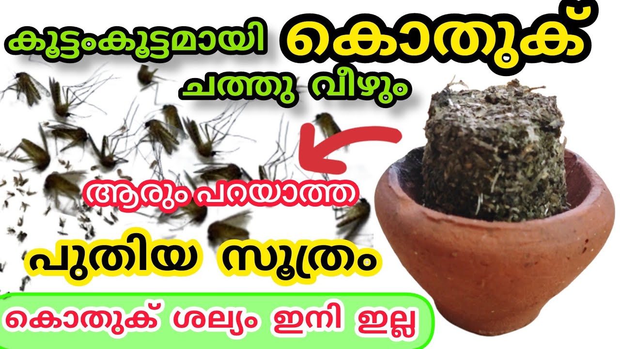 പുതിയ സൂത്രം കൂട്ടംകൂട്ടമായി കൊതുക് ചത്തു വീഴും ഇങ്ങനെ മാത്രം ചെയ്താൽ മതി||@Yummy food RJ
