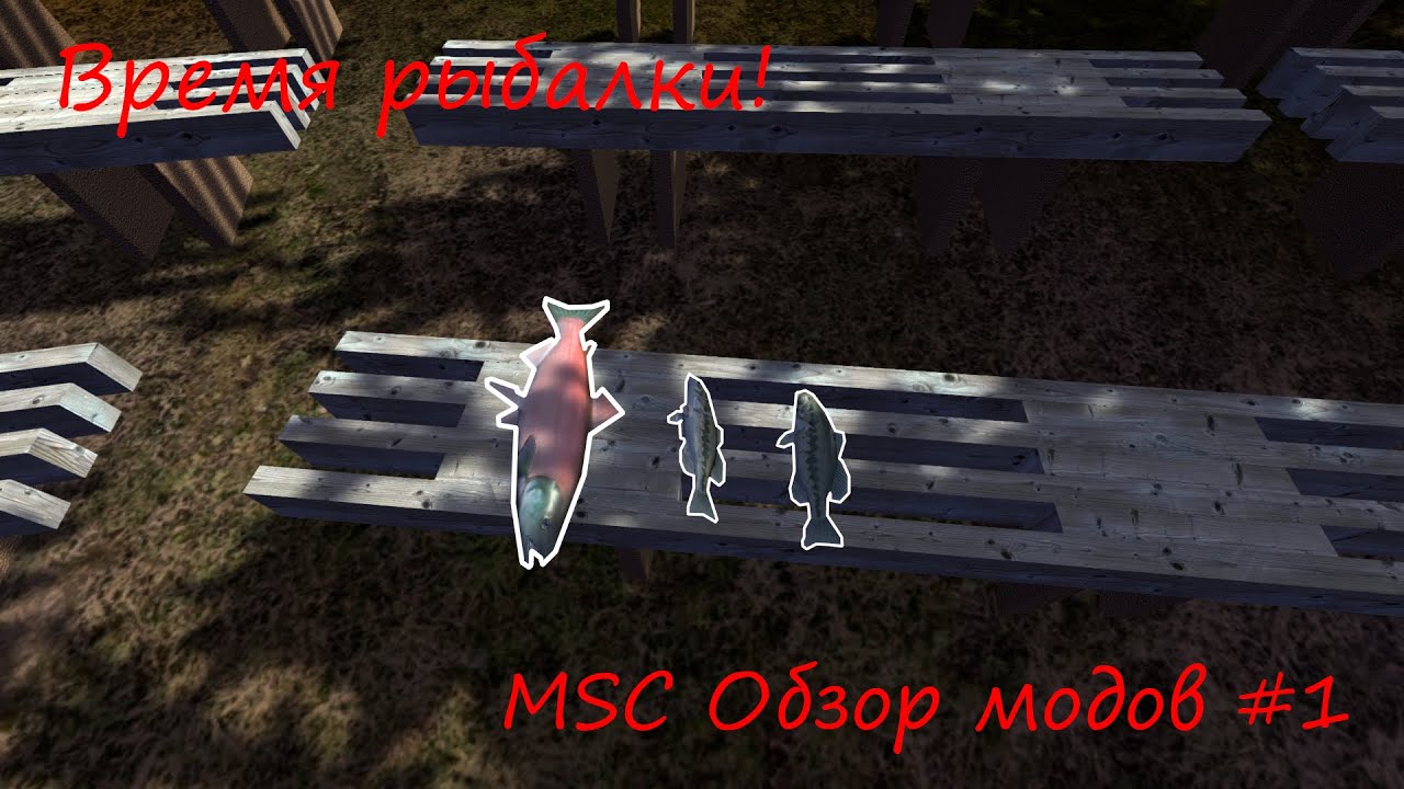 Время рыбалки! | Обзор мода My Summer Fishing Trip #1 | MSC обзор модов #1