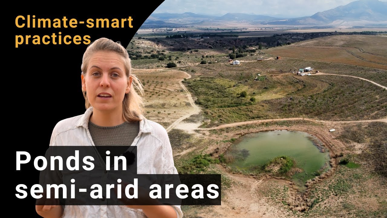 How to create ponds for water retention in dry areas | Climate-smart farming at La Junquera Farm