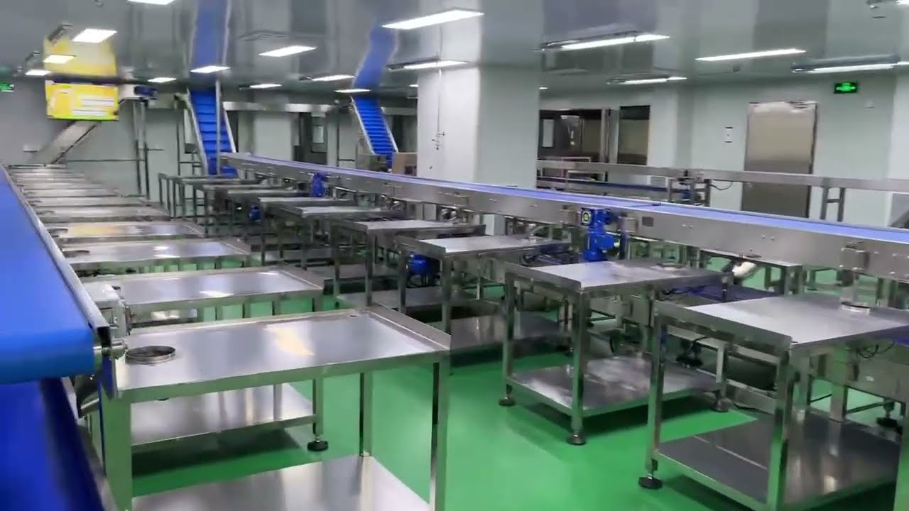 Hairise innovative solutions for conveyor systems for food processing, turnkey project