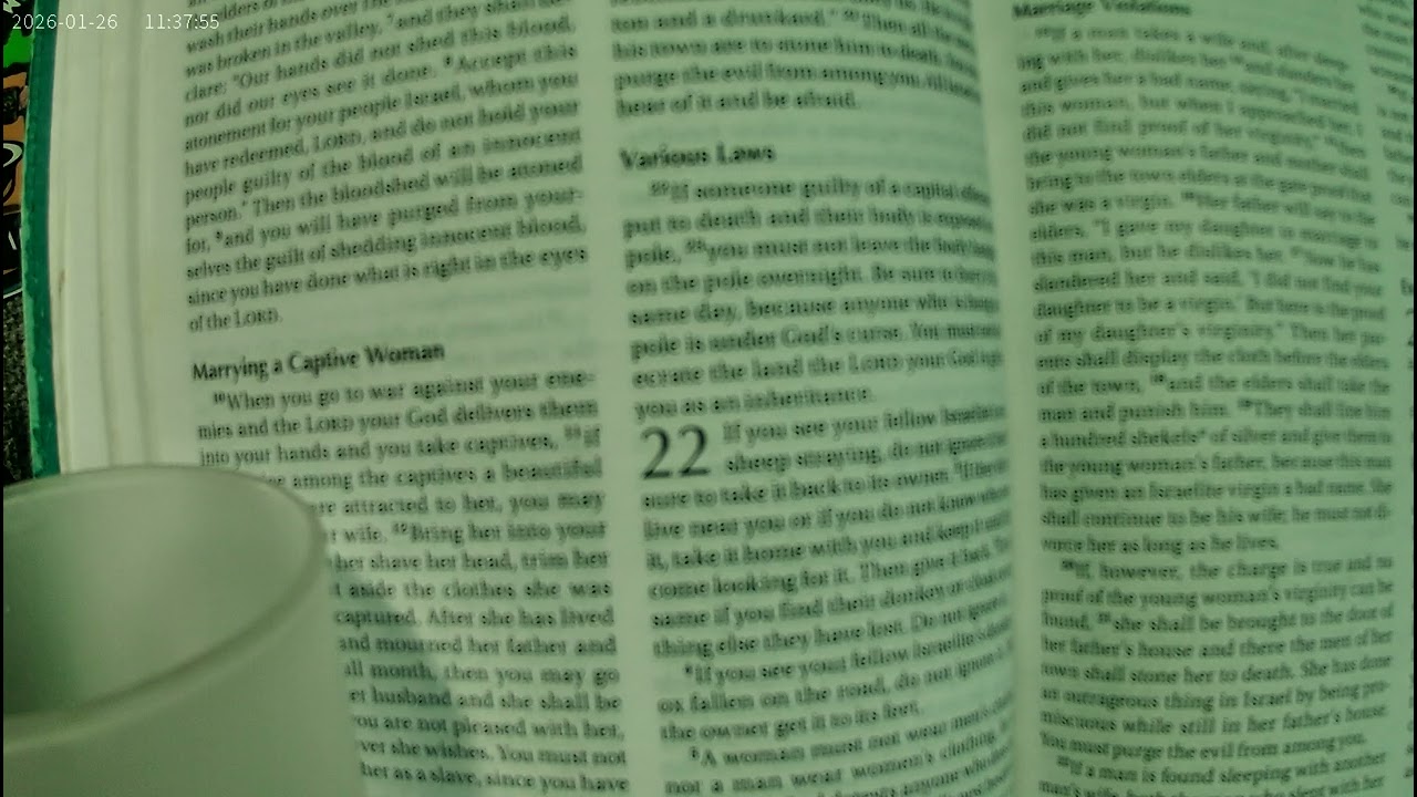 Deuteronomy Chapter 22