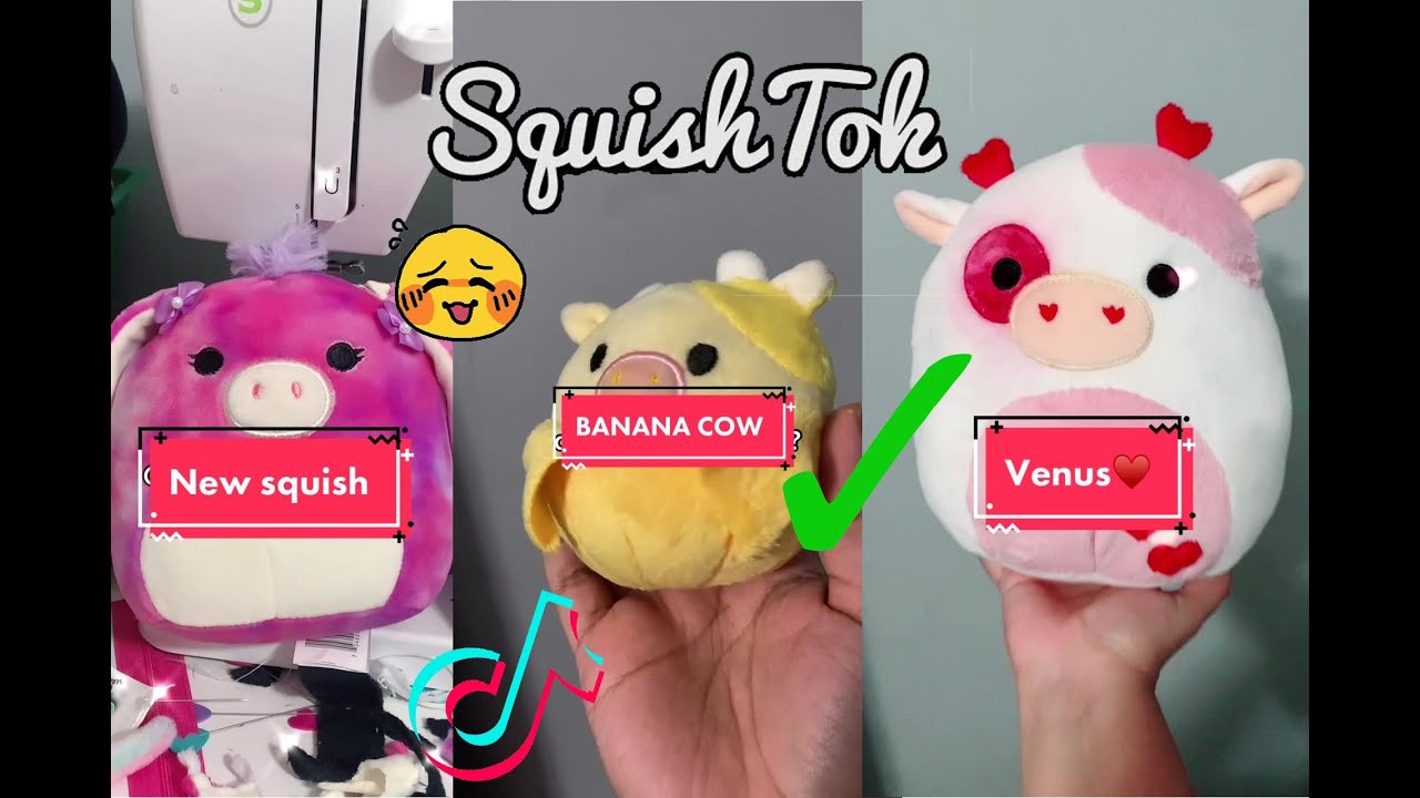 Best Of Custom Squishmallows for the crafty hunting squishtoks and tik toks