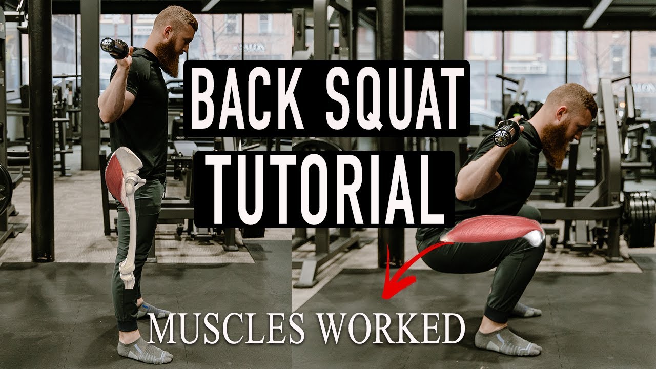 Barbell BACK SQUAT Tutorial | Setup, Muscles Worked, Mistakes, and More