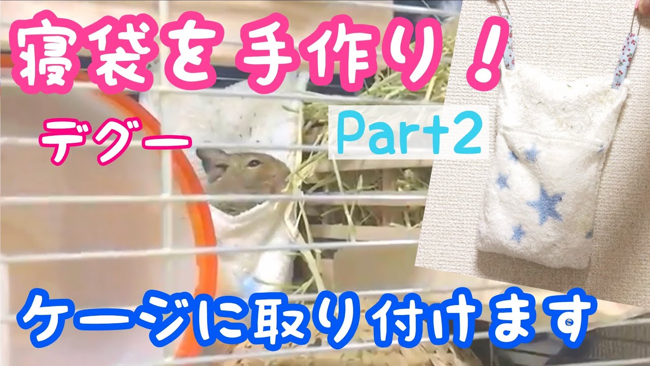 デグーにベッドを作って、ケージにぶら下げてみた♩Part２　家にある物を使って、裁縫は小学校で習ったレベルでも作れます。【ハンドメイド】