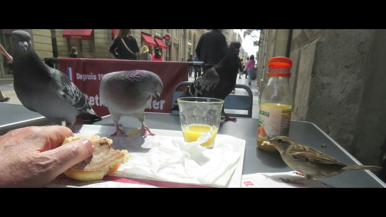 Video Yr 2026, 030, Bordeaux, 28 April 2028