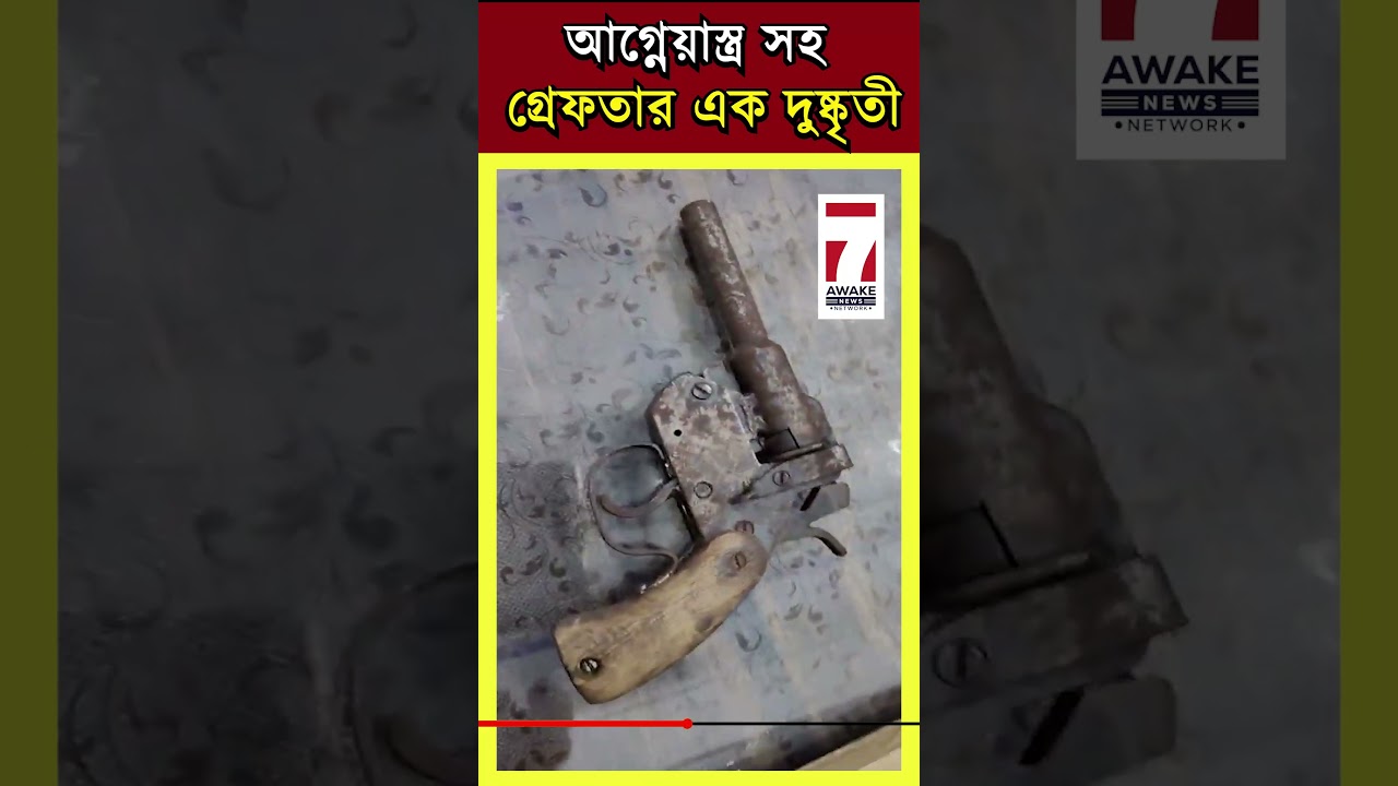 Gaighata News: গাইঘাটার  নাকা চেকিং এর সময় আগ্নেয়াস্ত্র সহ গ্রেফতার এক দুষ্কৃতী