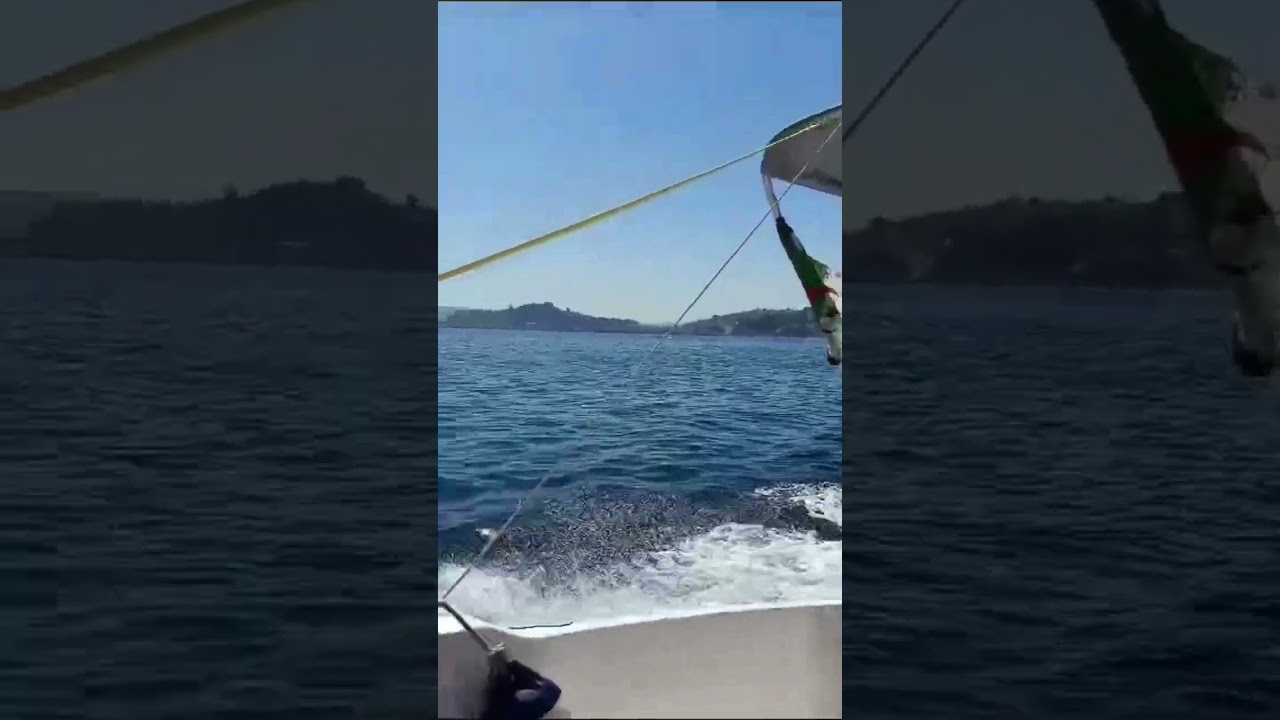 Balade en bateau#sea🏝️# skikda#algeria#shorts