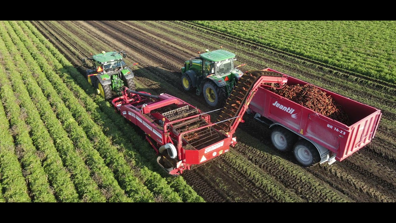 Récolte De Carottes Avec Grimme GT-170 [ Groupe Les Fermes Lussier ]