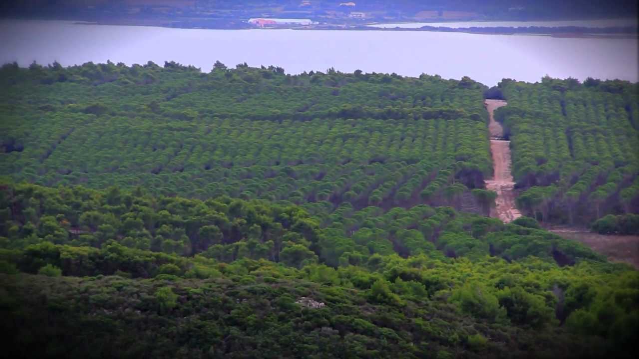 SAN GIOVANNI SUERGIU - Arte del Passato e Tradizione nel Futuro