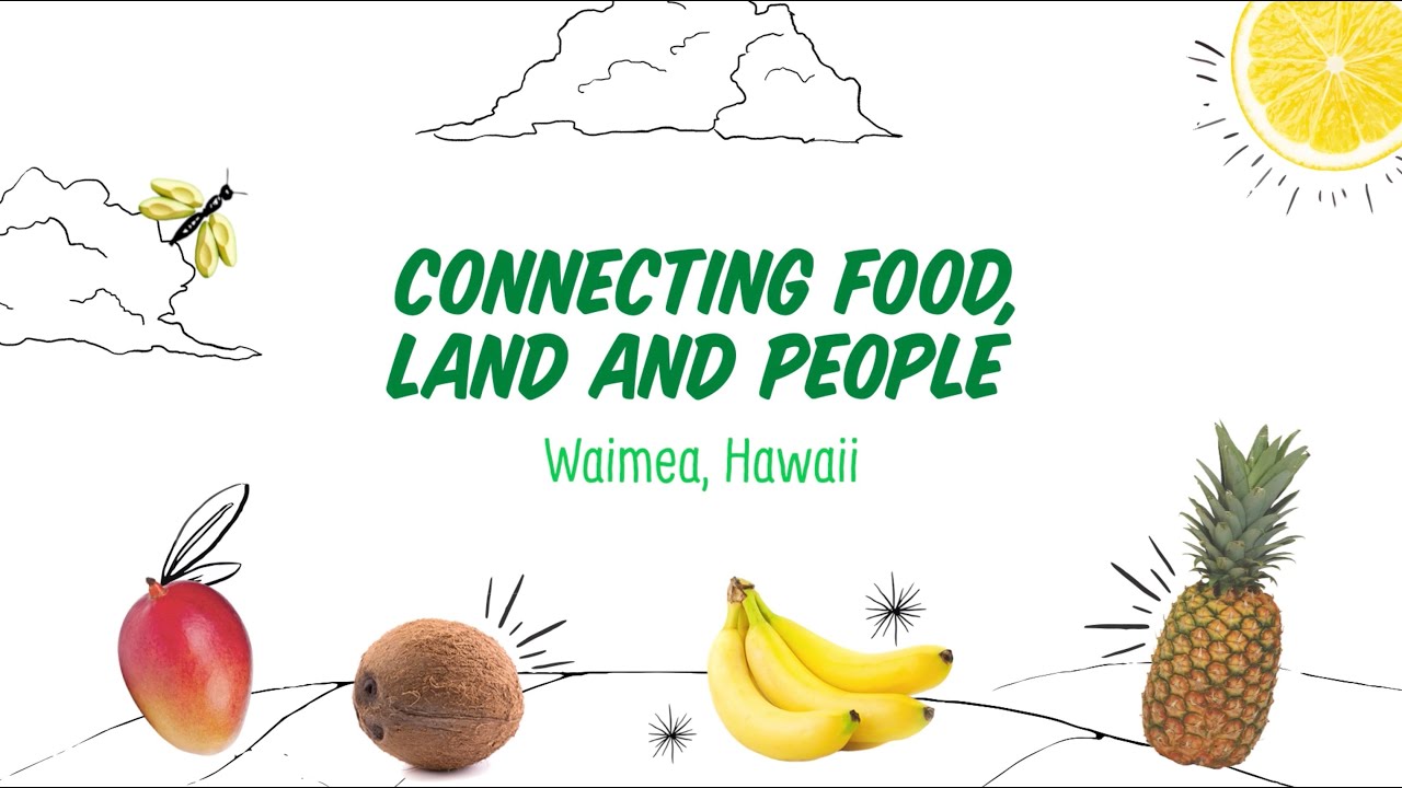 Connecting Food, Land & People | Growing School Gardens