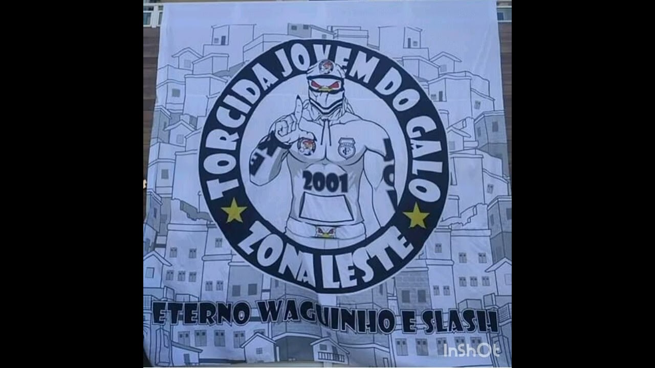 torcida jovem do galo zona leste tudo nosso 💪🥊🏁🚆