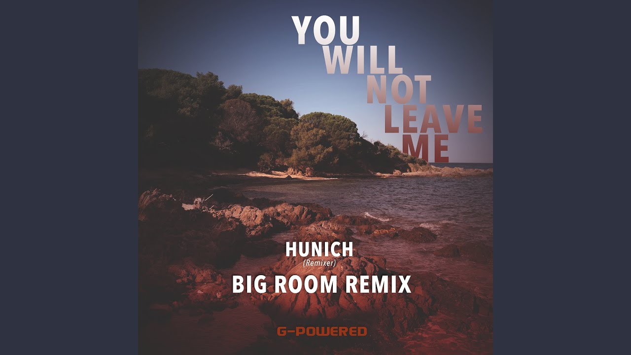 You Will Not Leave Me (Big Room Remix)