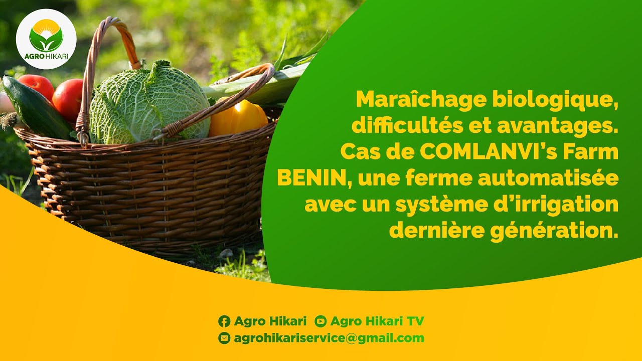 Maraîchage biologique: Difficultés et avantages . CAS DE COMLANV'S FARM BENIN