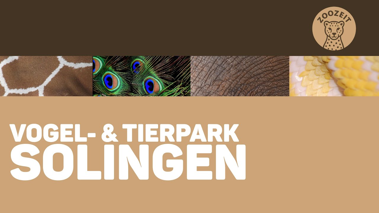 Solinger Vogel- und Tierpark • Ein weiterer kleiner Tierpark in der Klingenstadt!