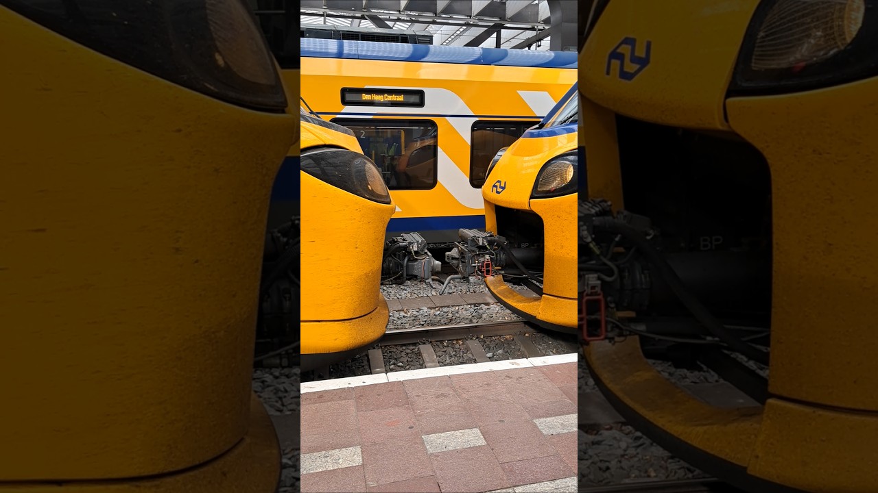 NSI ICNG-B combineert met NS ICNG-V te Rotterdam CS! #nsi #eurocity #icng