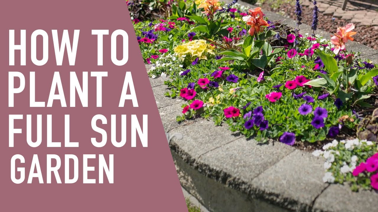 Planting a Full Sun Annual Garden 🌞 || West Coast Gardens