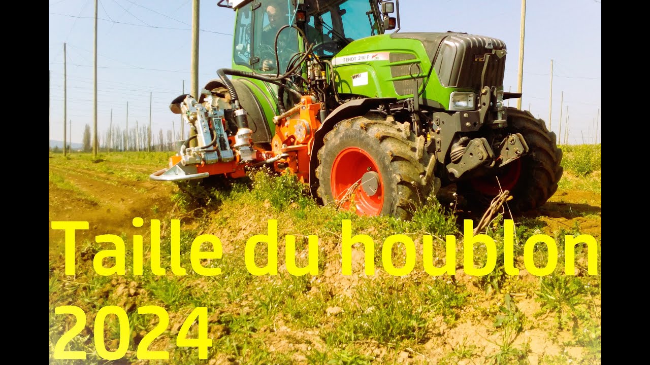 Taille du houblon 2024