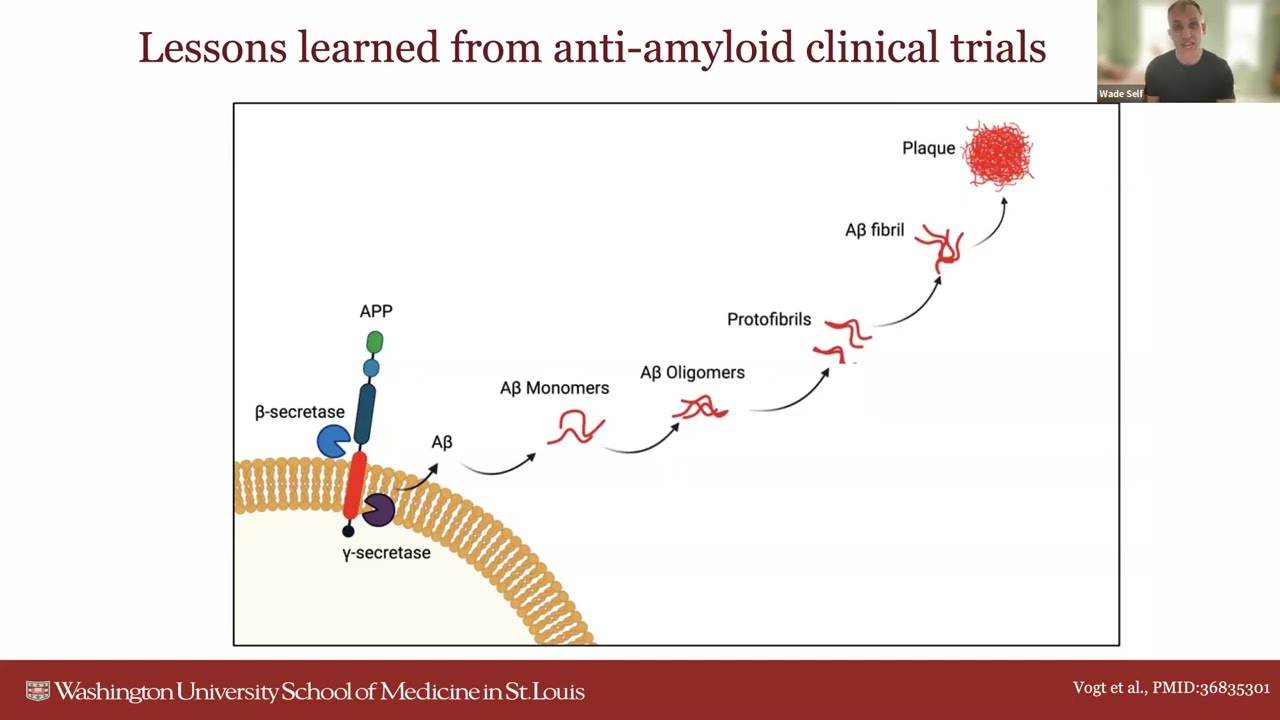 Emerging Evidence for Strategies to Prevent Alzheimer’s Disease (pFocus)