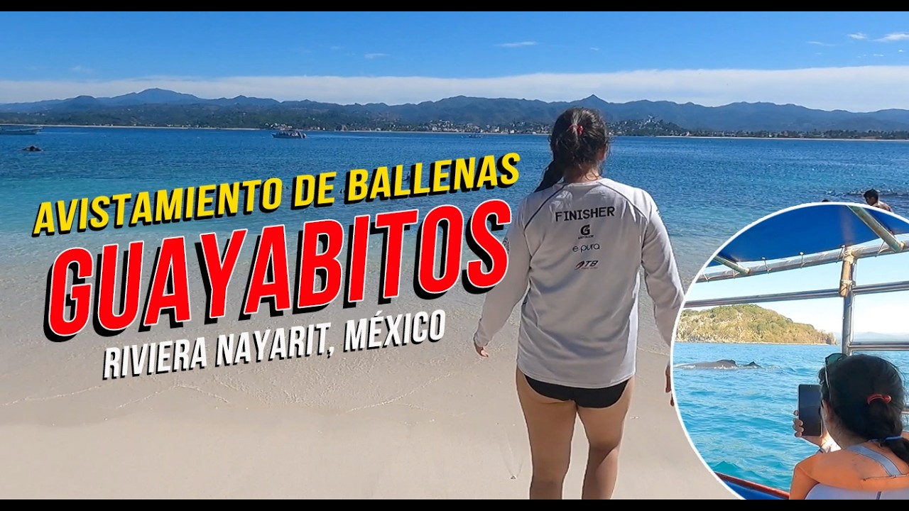 🐋 Avistamiento de Ballenas, Isla del Coral 🤿 y el paraíso escondido de Guayabitos en Nayarit 🇲🇽