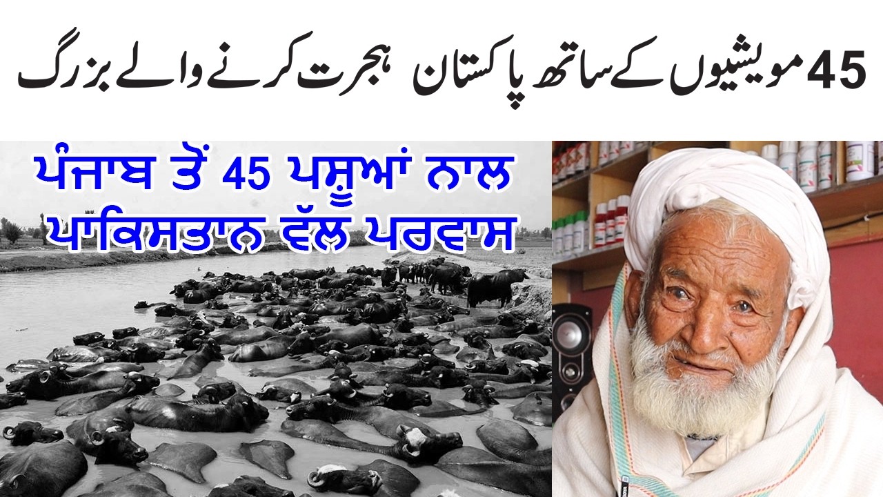 45 Majhan Wala Baba || Mare Kalan Firozpur to Pakistan || Memories of 1947 Punjab Partition