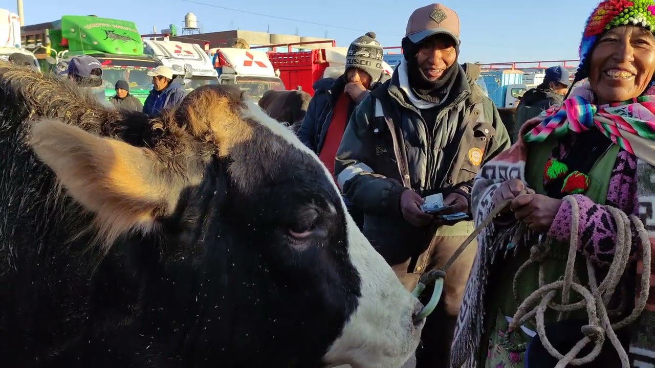 Feria de Ganados.TARACO 2024.