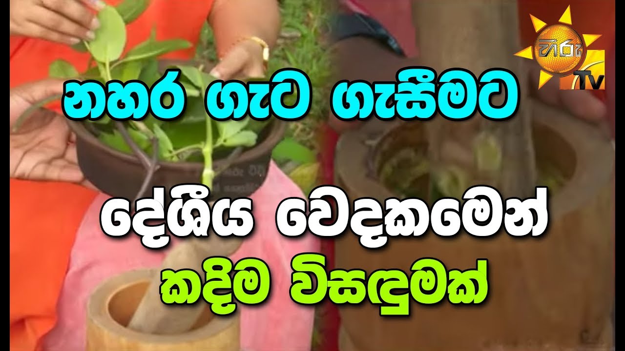 නහර ගැට ගැසීමට දේශීය වෙදකමෙන් කදිම විසඳුමක්...