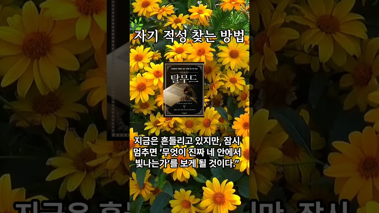 자기 적성을 찾는 방법#Shorts #탈무드 #적성찾기 #자기발견 #삶의지혜 #마음의평화 #인생명언 #감동글