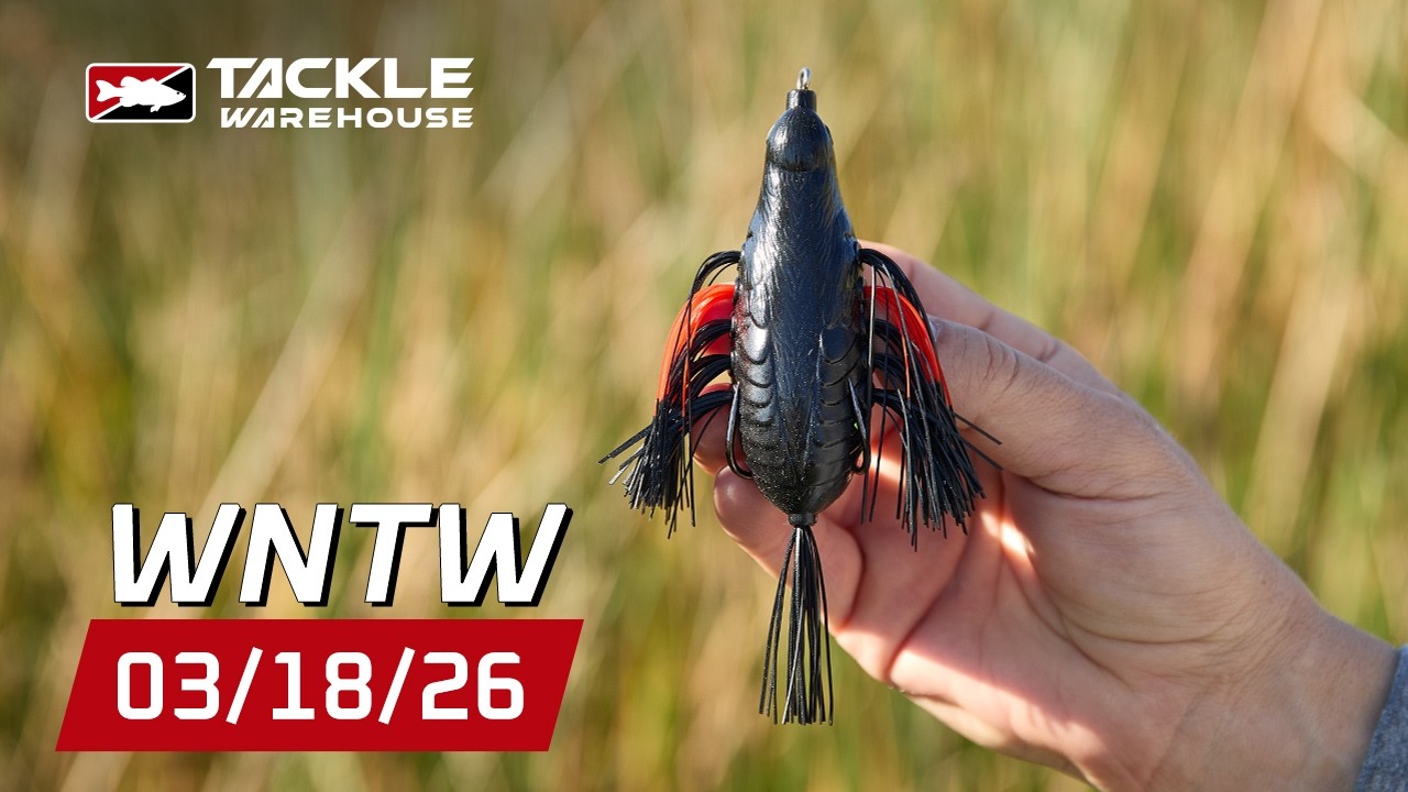 Новинки от Tackle Warehouse + множество приманок небольшого размера и многое другое на этой недел...