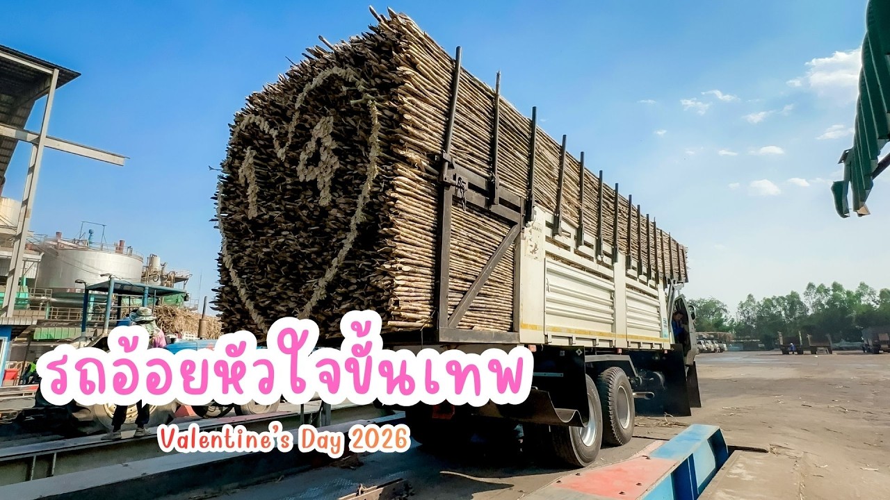 รถบรรทุกอ้อยหัวใจขั้นเทพ!!! วาเลนไทน์  2026