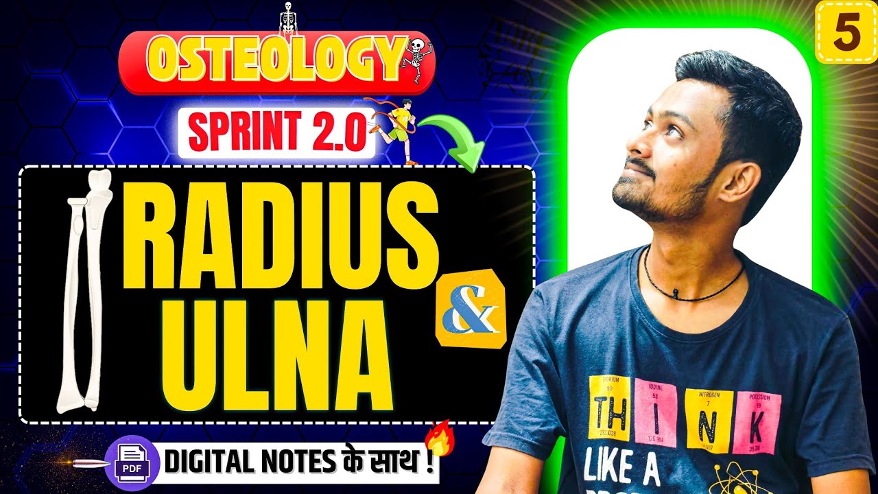 5️⃣RADIUS & ULNA | रचना शारीर in 50 Days📈| OSTEOLOGY🎯| BAMS 1st Year🥇| SPRINT 2.0🚀