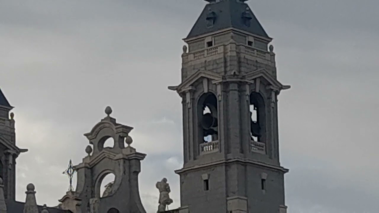 volteo a misa de domingo  en la catedral de la Almudena de Madrid