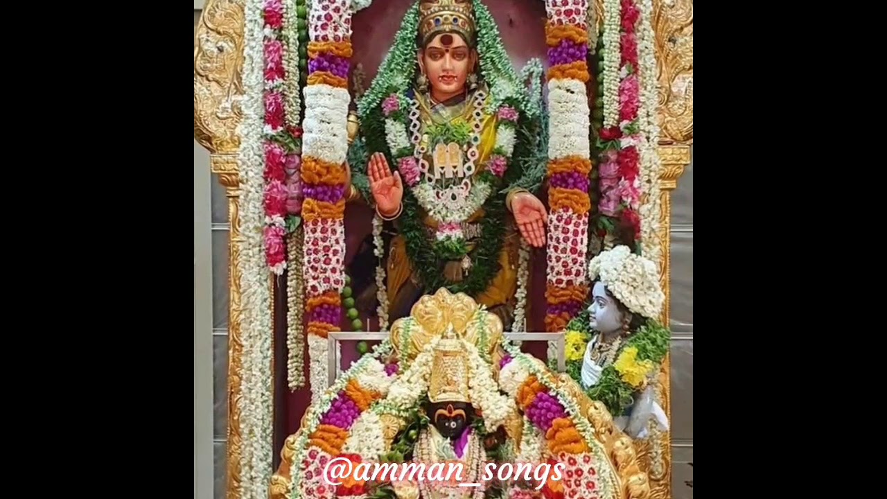 அம்மா மாரியம்மா✨🪔🔱🌿ஓம் சக்தி  #mariamman #karumariamman   #amman_songs #ammanthunai #mariammanthunai