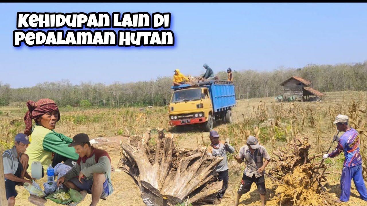 Kampung Pendongkel Akar Jati Di Pedalaman Hutan Belantara Blora Part 01