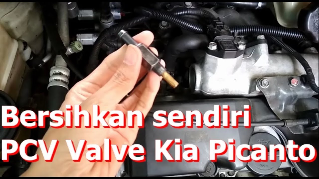 Bersihkan sendiri PCV Valve Picanto 2007