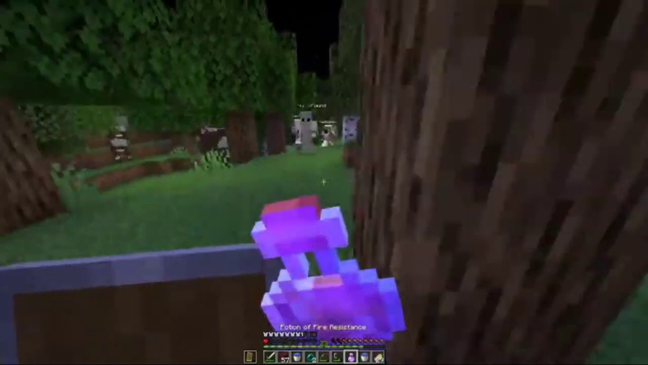 Dream Fake Strength Potion