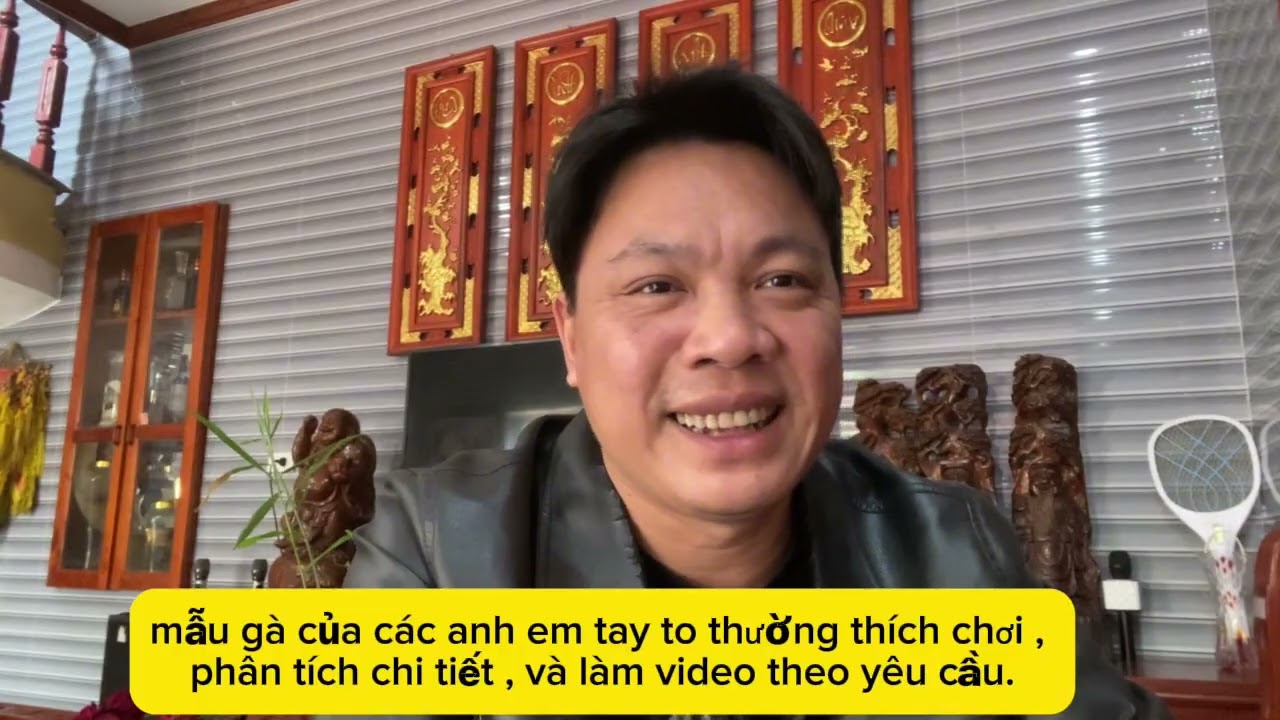 cách chọn những mẫu gà mà những anh em tay to thường chọn_tintuc24h_kinh nghiệm từ @SưKêThọBG  .