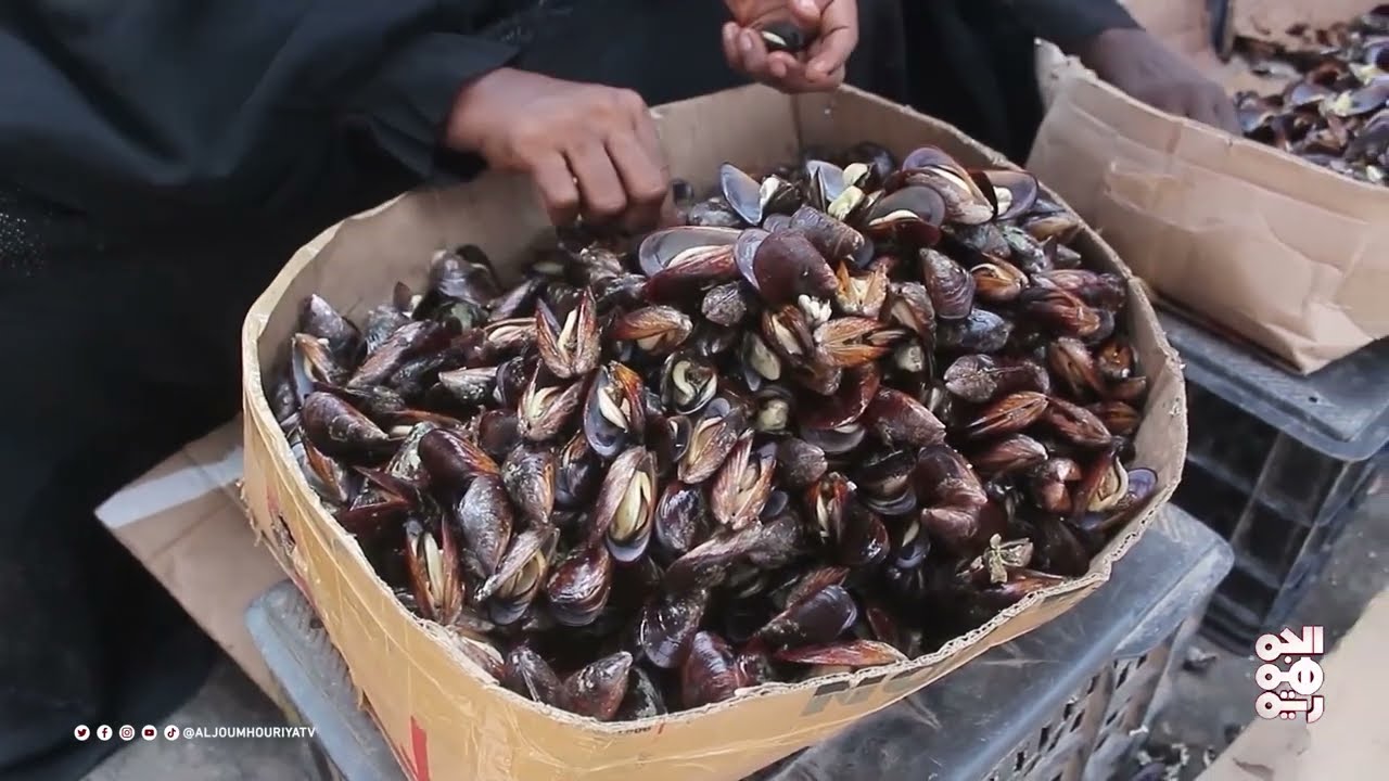 طقوس صيد 