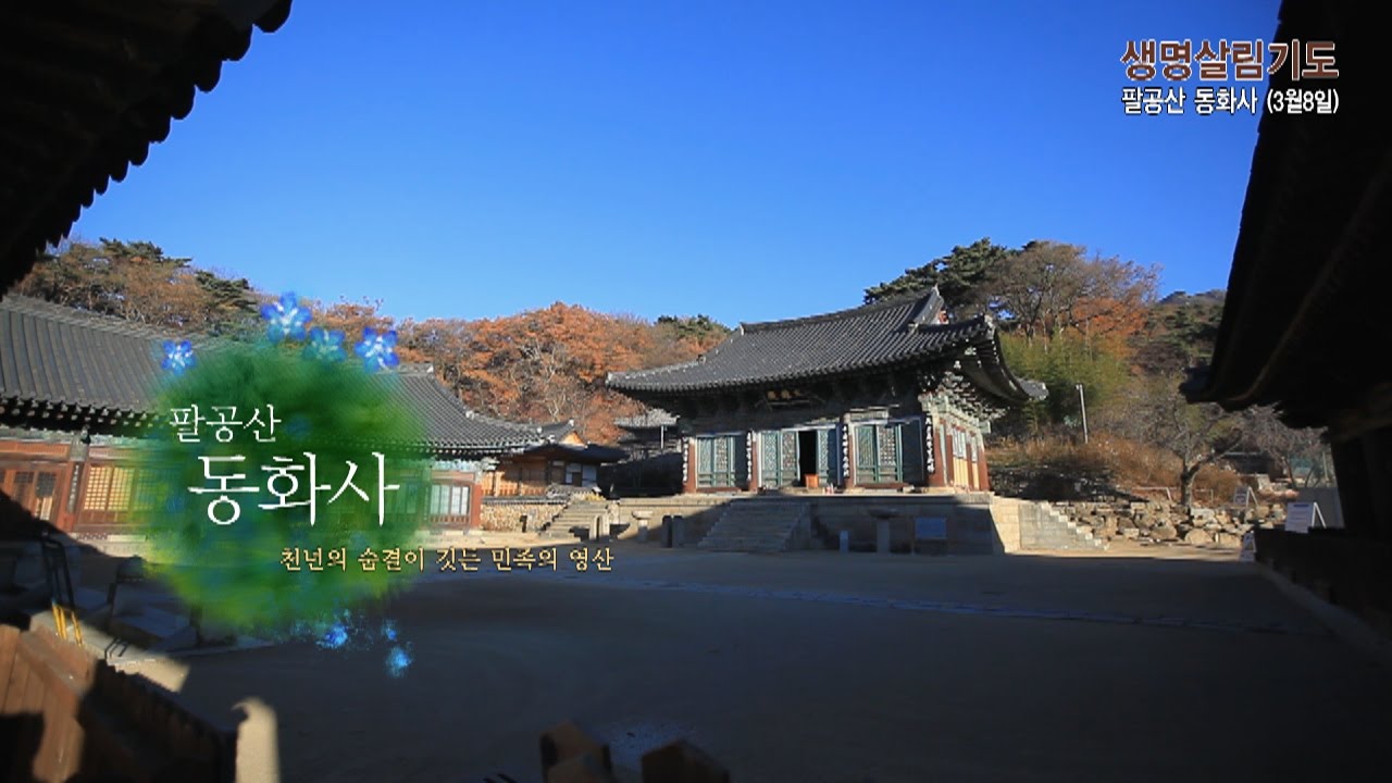 팔공총림, '동화사' #동화사 #팔공산