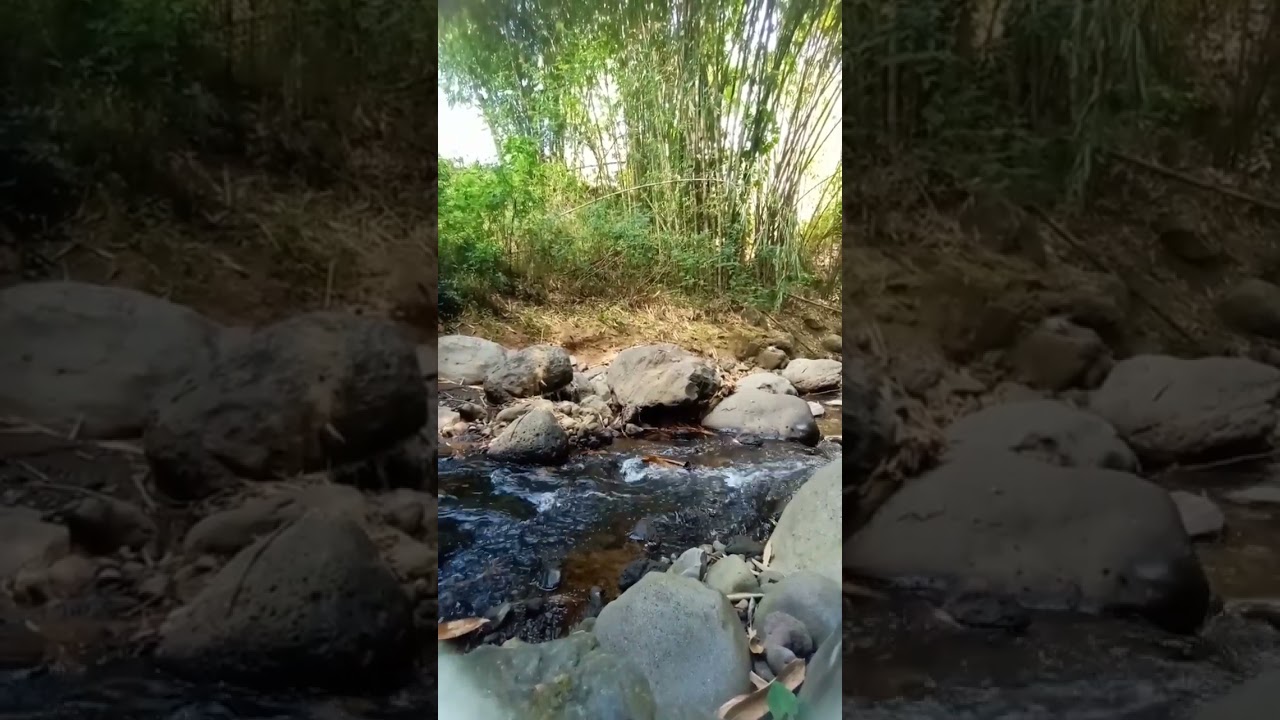 ASMR - Gemercik Air Sungai Menenangkan #channelrelaksasi #nature #river