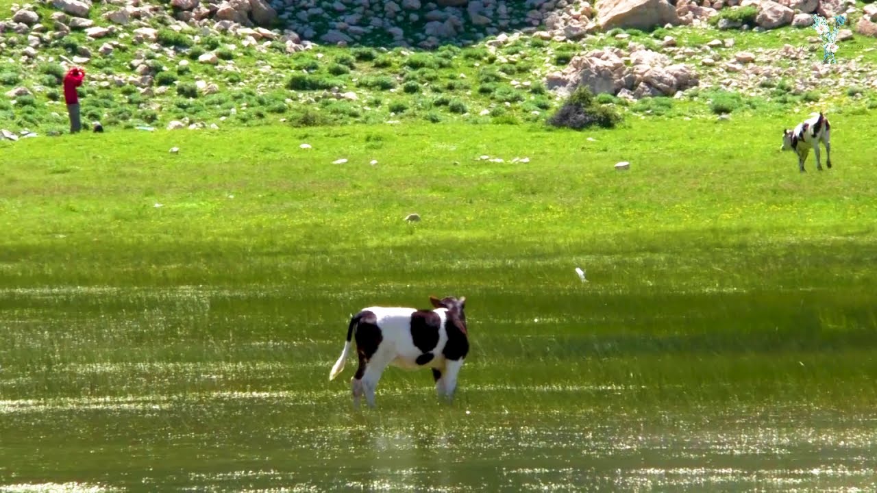 Tamda Ouguelmim, (le lac Ougoulmim) 2020