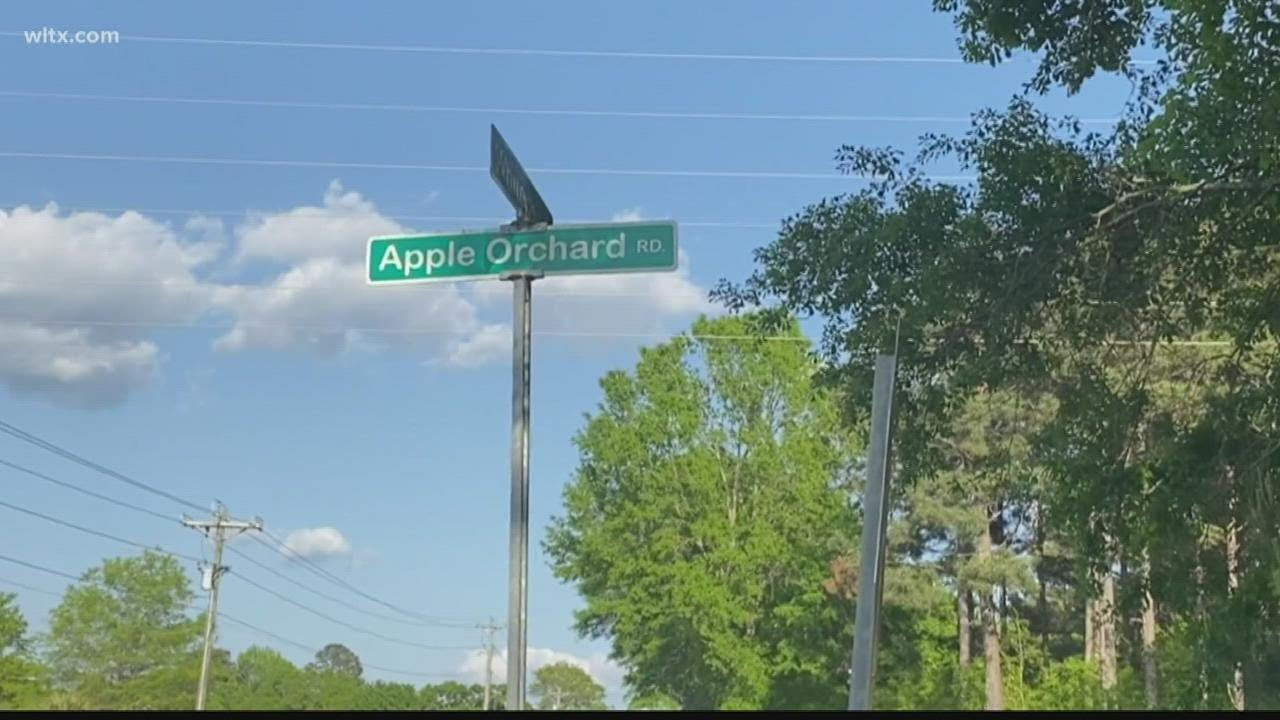 Newberry County woman attacked, killed by her own dog Thursday
