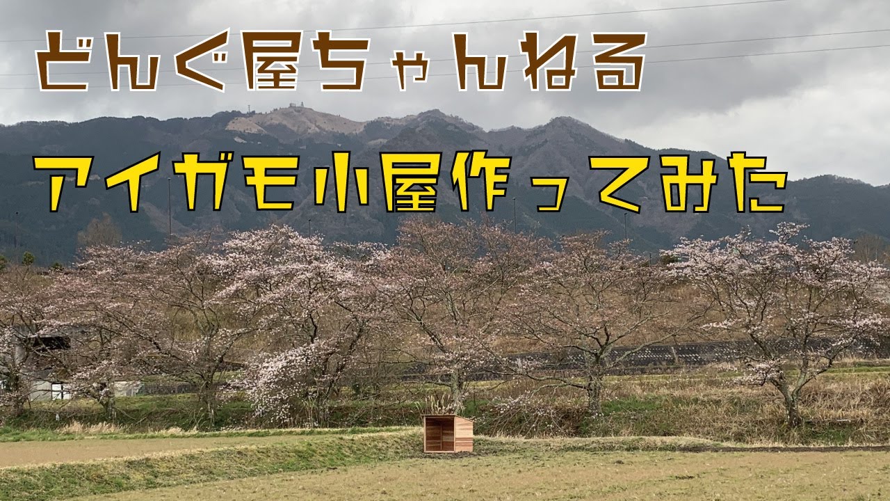 田舎暮らし系YouTuber　合鴨編第一弾　アイガモ小屋作り【農業初心者によるアイガモ農法】
