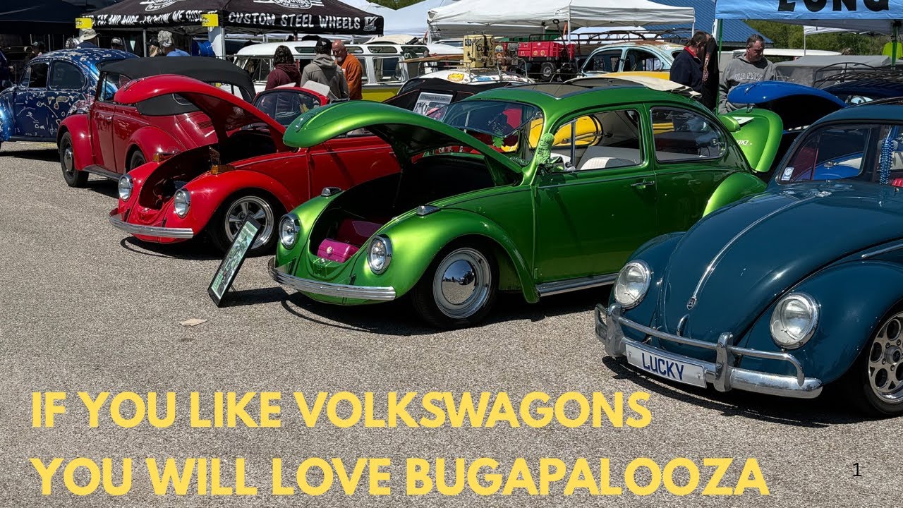 BUGAPALOOZA.  Chattanooga Tn